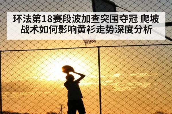 环法第18赛段波加查突围夺冠 爬坡战术如何影响黄衫走势深度分析